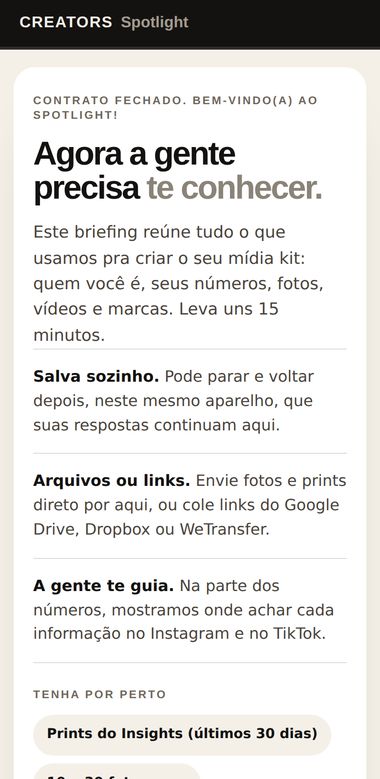 Formulário de briefing