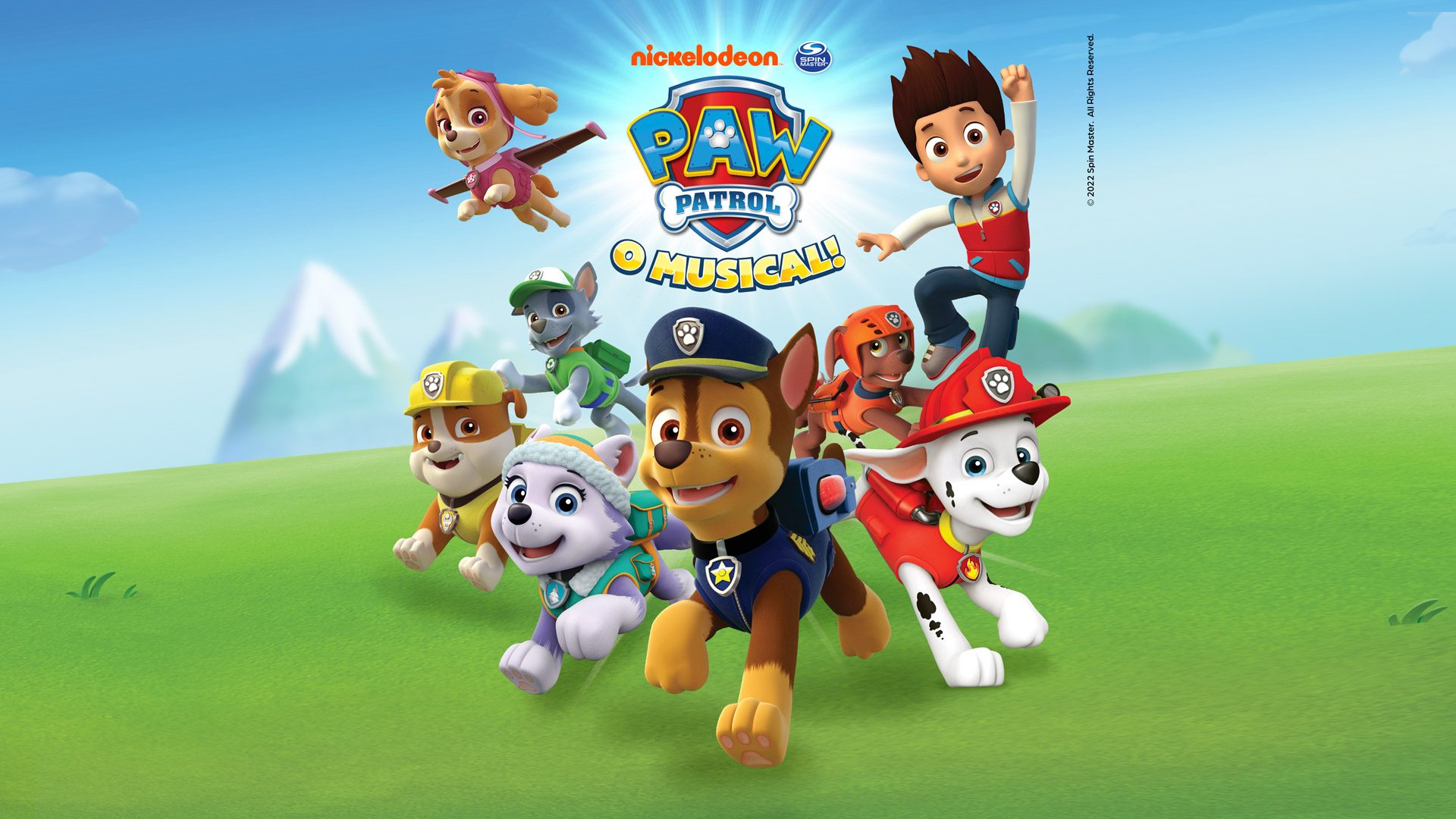 casepawpatrol_01